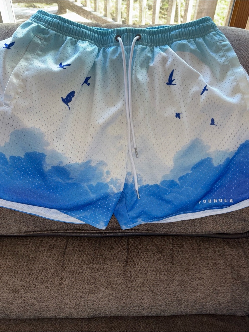 Young LA Shorts Mesh Gym YoungLA Streetwear Block Party Birds Clouds Shorts XXL - Picture 2 of 6